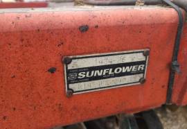 Sunflower 1434