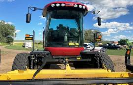 2019 Case IH WD1504 Self-Propelled Windrowers and 