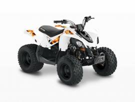 2022 Can-Am DS90 ATVs and Utility Vehicle