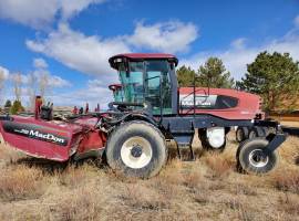 2009 MacDon M200 Self-Propelled Windrowers and Swa